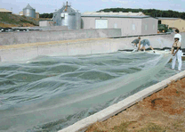 Silostop Clear Oxygen Barrier Film reduces losses and increases silage quality in the top metre of Silage Clamps