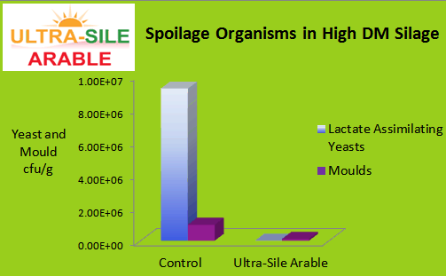 RWN's specialist Ultra-Sile silage additives produce acetic and propionic acids for maximum stability and reduced heating of high dry matter silages, wholecrop and maize
