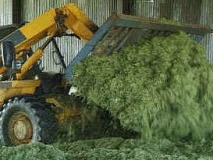 Consolidate well. Roll no more than 6 inch layers. Create an air tight seal. Use a silage additive