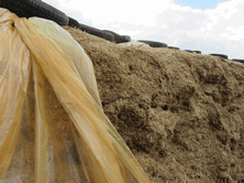 Using Silostop Orange Oxygen Barrier Film to exclude air can result in a faster fermentation, less spoilage organisms, no top waste and less heating on the silage face