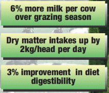 RWN grass seed mixtures can produce up to 2 - 3 lires more milk per cow per day, with dry matter intakes increased by up to 25% and dairy heifers, beef and youngstock showing up to 20% increase in growth rates