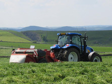Grass is a valuable crop. Silage additives retain more feed value