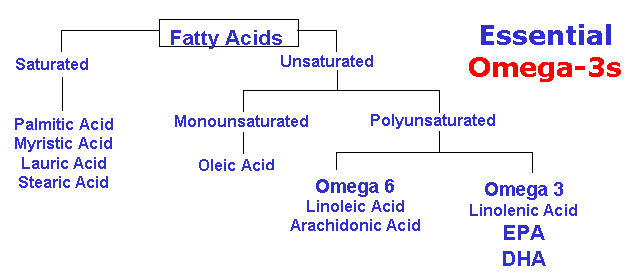 Fats are made up of Fatty Acids. These can be split into saturated and unsaturated, Mono- and Poly Unsaturated, and Omega-6 and Omega-3 Fatty Acids
