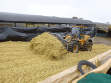 We proved over 20 years ago that silage additives work. The challenge has been to see which additives worked best, where and how they could be improved upon