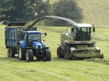 Using a silage additve should be considered an integral part of silage making