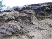 Lack of consolidation and inadequate sealing of silage pits often result in thousands of pounds worth of losses
