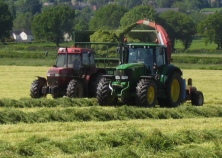 Grass Silaging - quality silage is the basis of the high yielding cows diet - always treat with an effective silage additive