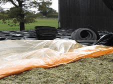 Paying attention to sealing a silage clamp quickly, making it airtight with Silostop and weighting the sheets as soon as filling is completed costs very little