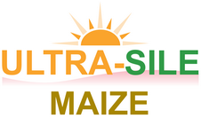 Ultra-Sile Maize additive produces a range of acids which inhibit the production of moulds, yeasts and mycotoxins reducing dry matter losses reducing maize silage heating at feedout