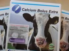 Calcium Bolus Extra is widely used in the Netherlands and across Europe. The calcium source used is highly available, is absorbed rapidly and has proven very effective at preventing milk fever