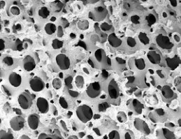 Ostrea sea shell flour's complex honeycomb structure ensure effective rumen buffering