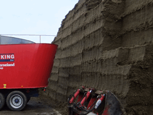 Quality silage can reduce concentrate costs and increase profitability