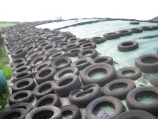 Visible spoilage and waste silage can be pretty much eliminated in properly rolled, well sealed clamps with protective nets and tyres