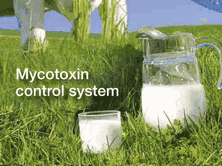 Toxin binders can help in the control of mycotoxins