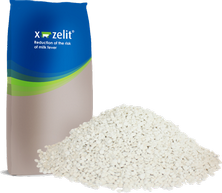 X-Zelit for prevention of milk fever and hypocalcaemia