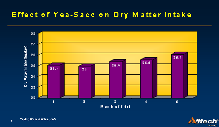 Live Yeast has also been shown to increase total dry matter intake (DMI). The effect of yeast improves over several months
