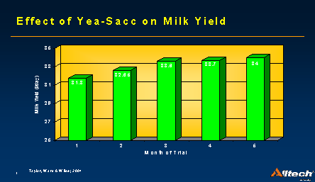 Yeast Trial - Yeasacc - Milk Yields in high yielding dairy cows continued to rise over several months